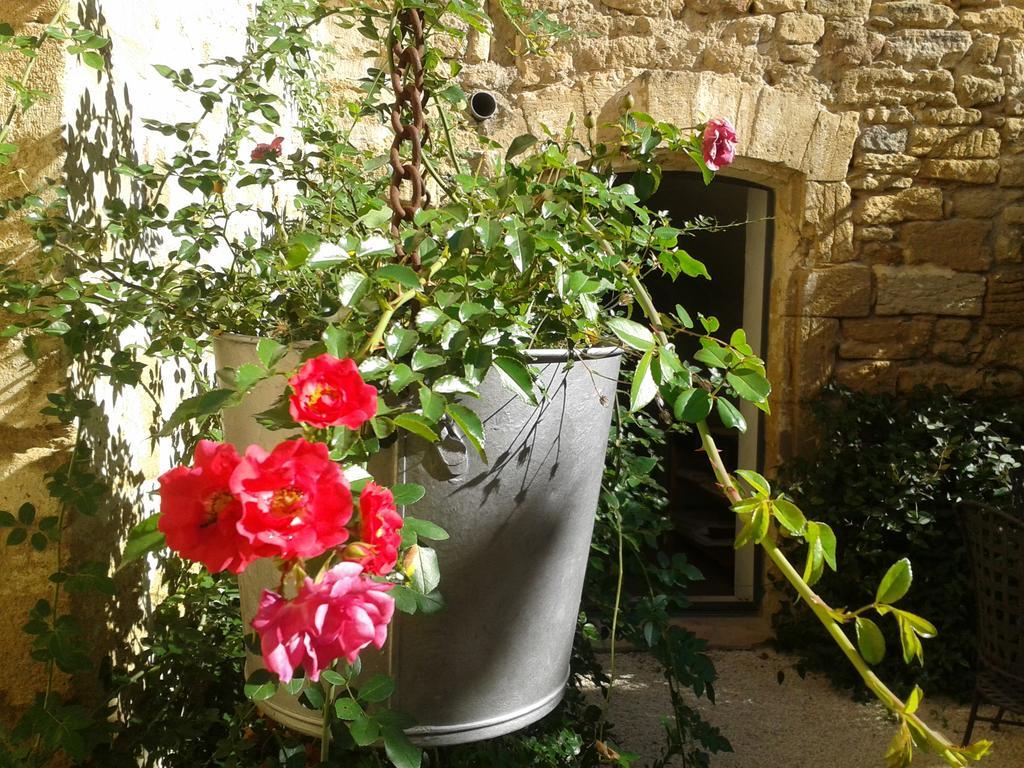 Guesthouse de Cambis B&B Remoulins Buitenkant foto